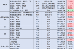 2024年12月25日石化行业日报：油价上涨，恒逸石化控股股东增持