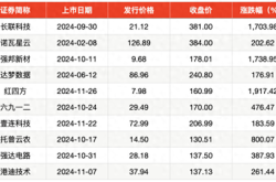 2024年A股打新：盛宴与风险并存